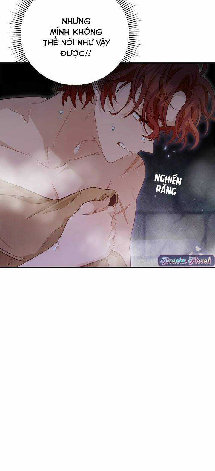 Aristité Được Ban Phước Một Lời Nguyền Chapter 1 trang 12