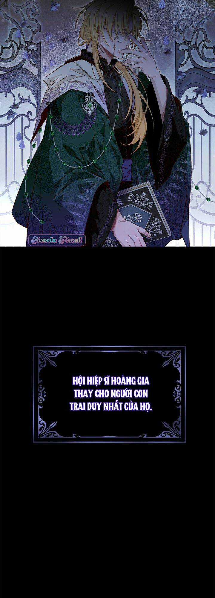 Aristité Được Ban Phước Một Lời Nguyền Chapter 1 trang 17