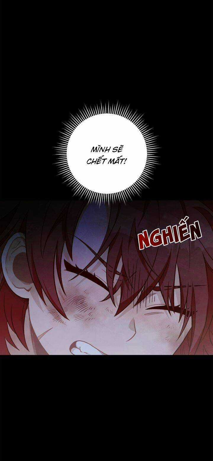 Aristité Được Ban Phước Một Lời Nguyền Chapter 2 trang 10