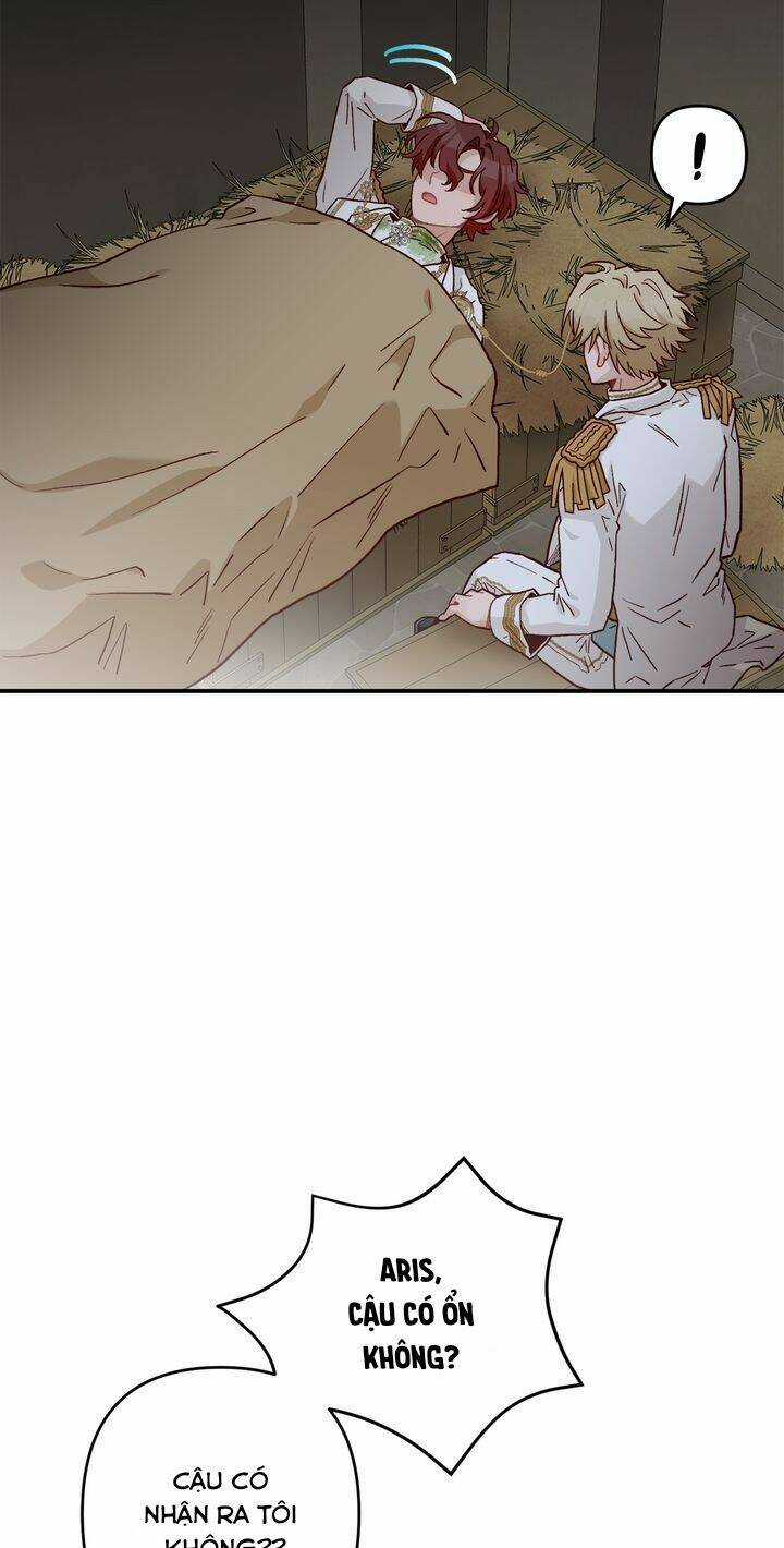 Aristité Được Ban Phước Một Lời Nguyền Chapter 2 trang 17