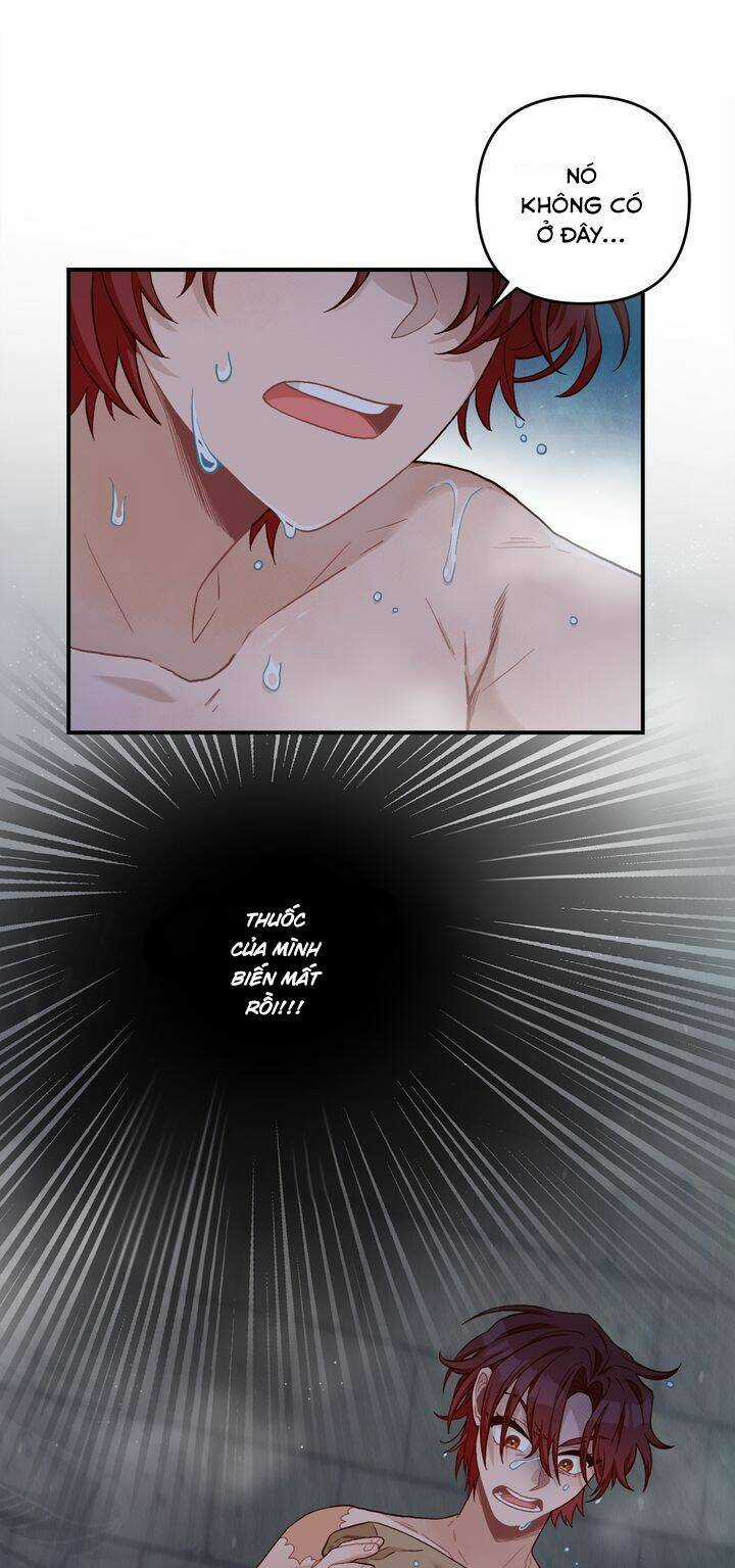 Aristité Được Ban Phước Một Lời Nguyền Chapter 2 trang 67