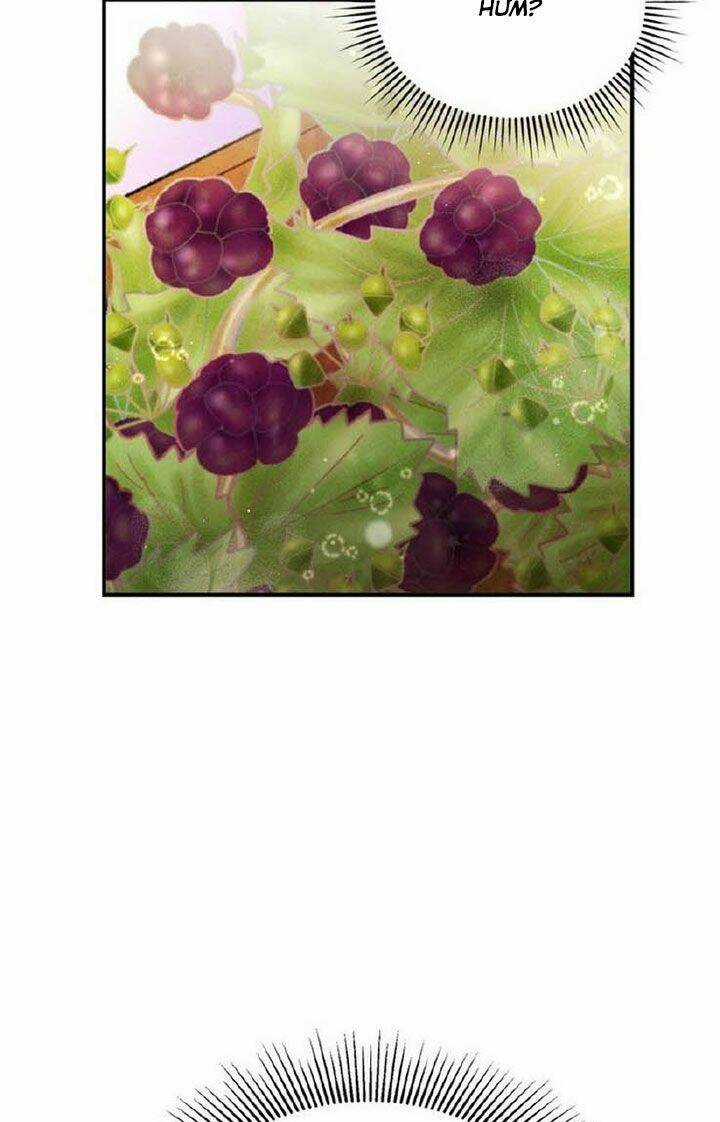 Aristité Được Ban Phước Một Lời Nguyền Chapter 7 trang 80