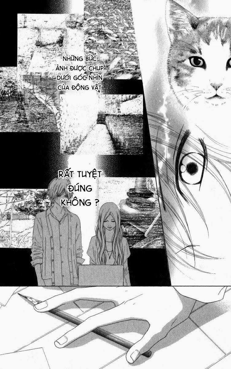 Aruitou Chapter 4 trang 22