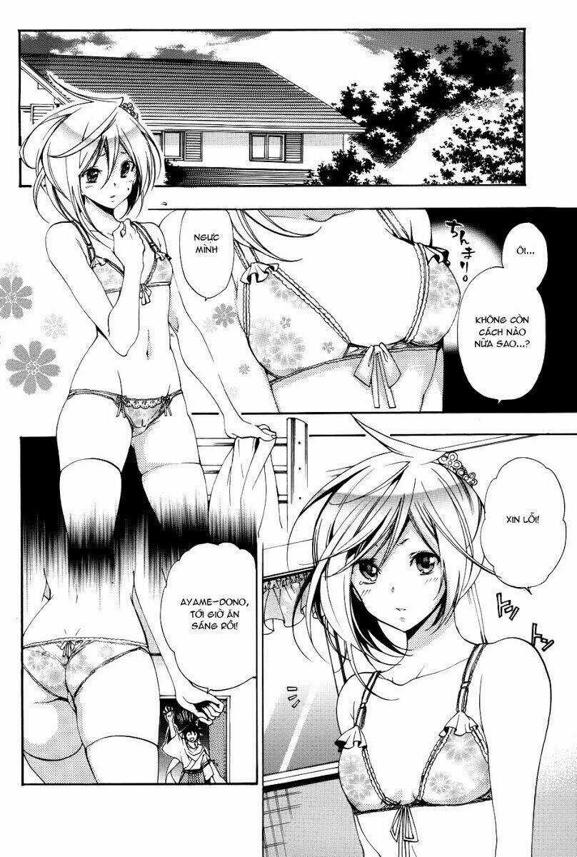 Ashita No Yoichi Chapter 58 trang 17