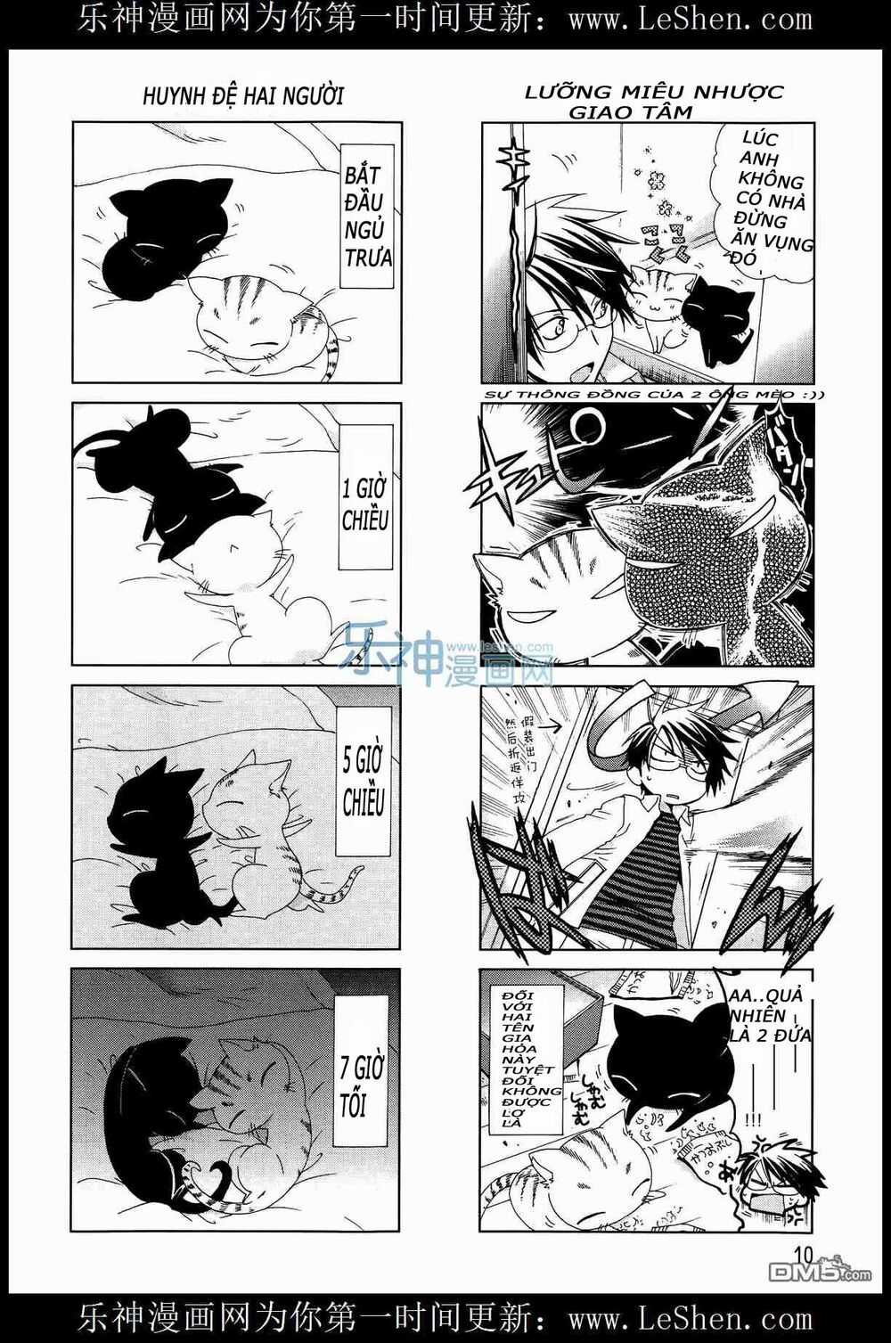 Ashiya-San No Neko Chapter 1 trang 7