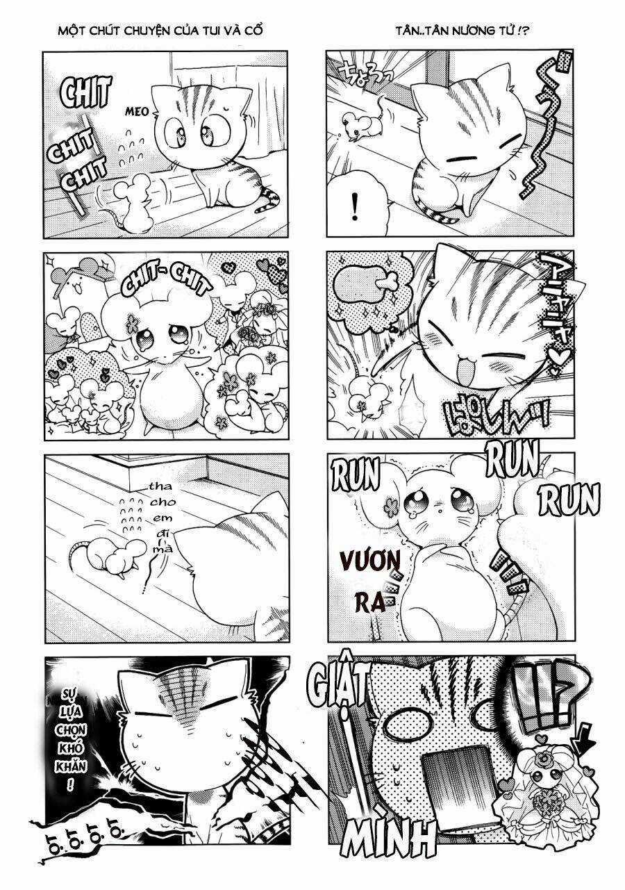 Ashiya-San No Neko Chapter 11 trang 4