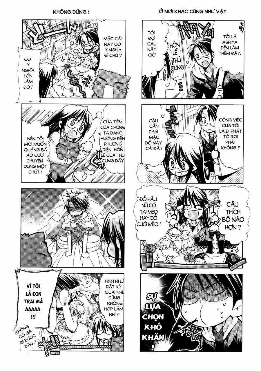 Ashiya-San No Neko Chapter 11 trang 5