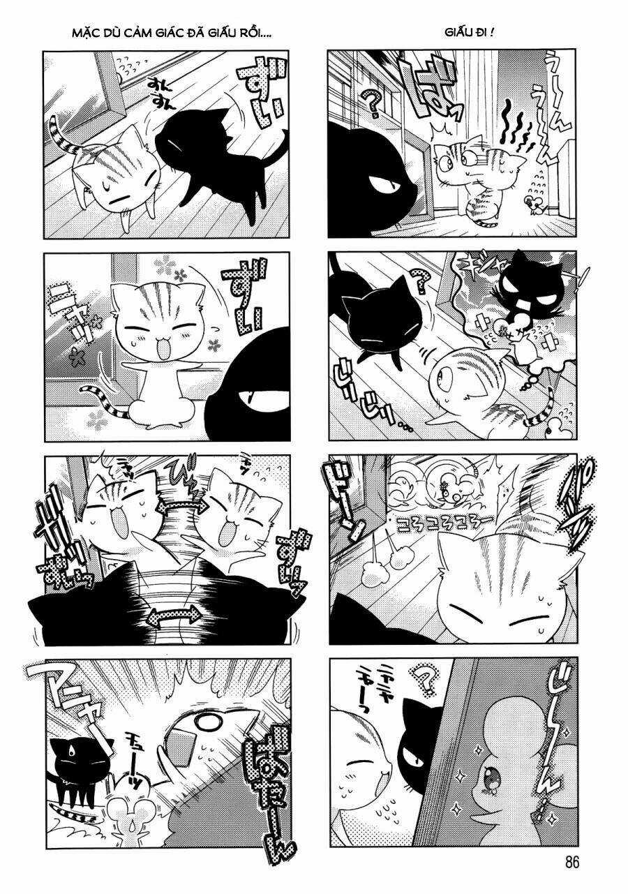 Ashiya-San No Neko Chapter 11 trang 6