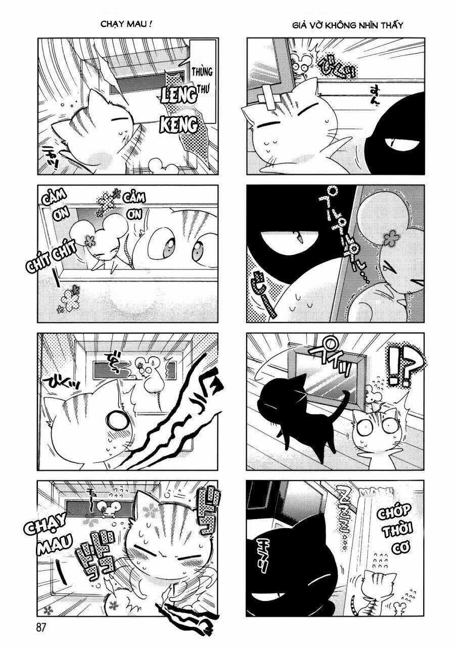 Ashiya-San No Neko Chapter 11 trang 7