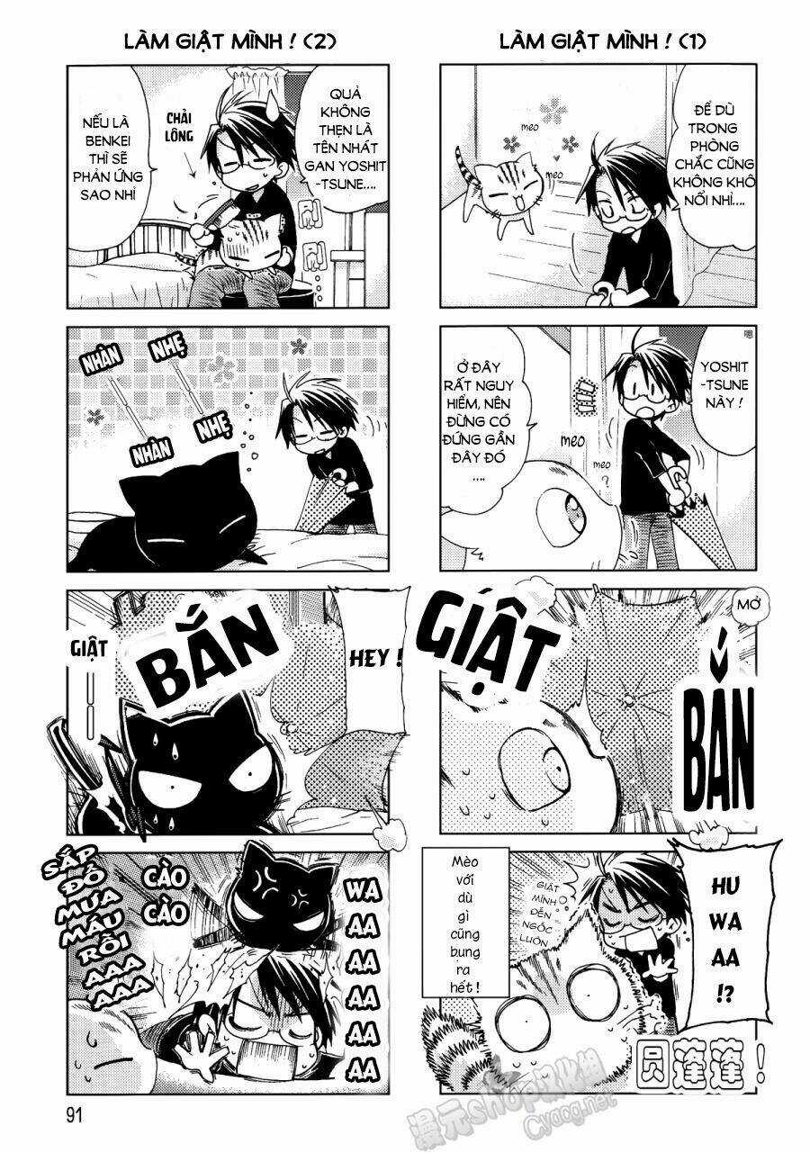 Ashiya-San No Neko Chapter 12 trang 2