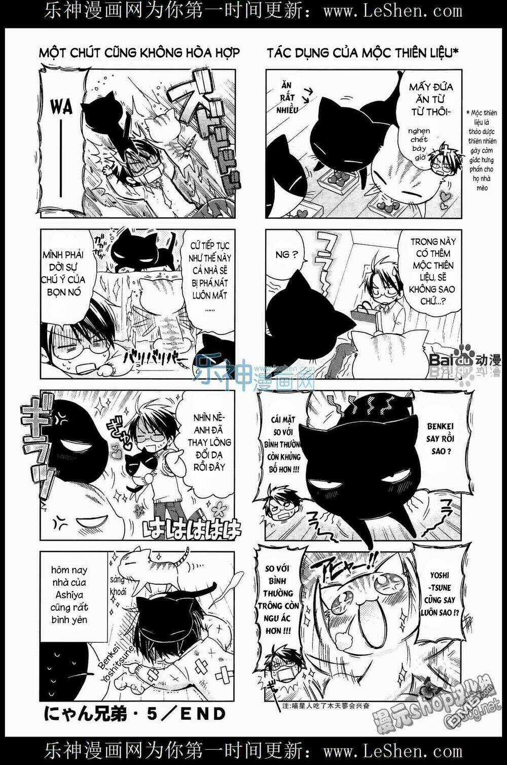 Ashiya-San No Neko Chapter 5 trang 5