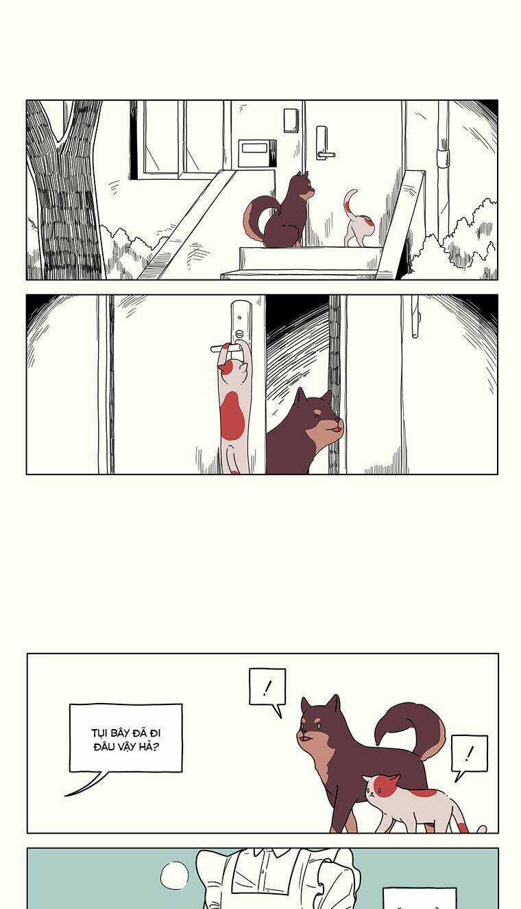 At Each Other’s Throats Chapter 80.6 trang 3