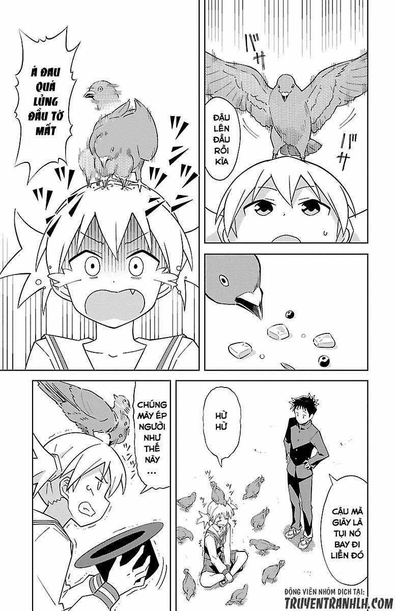 Atsumare! Fushigi Kenkyuu-bu Chapter 6 trang 5