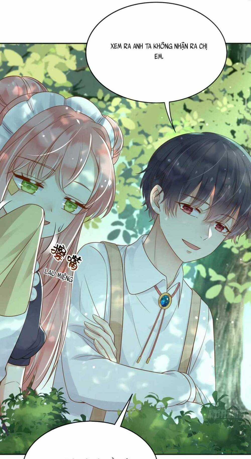 Ba Ba Đại Nhân ! Con Không Phải Là Nữ Phụ Ác Độc ! Chapter 38 trang 19