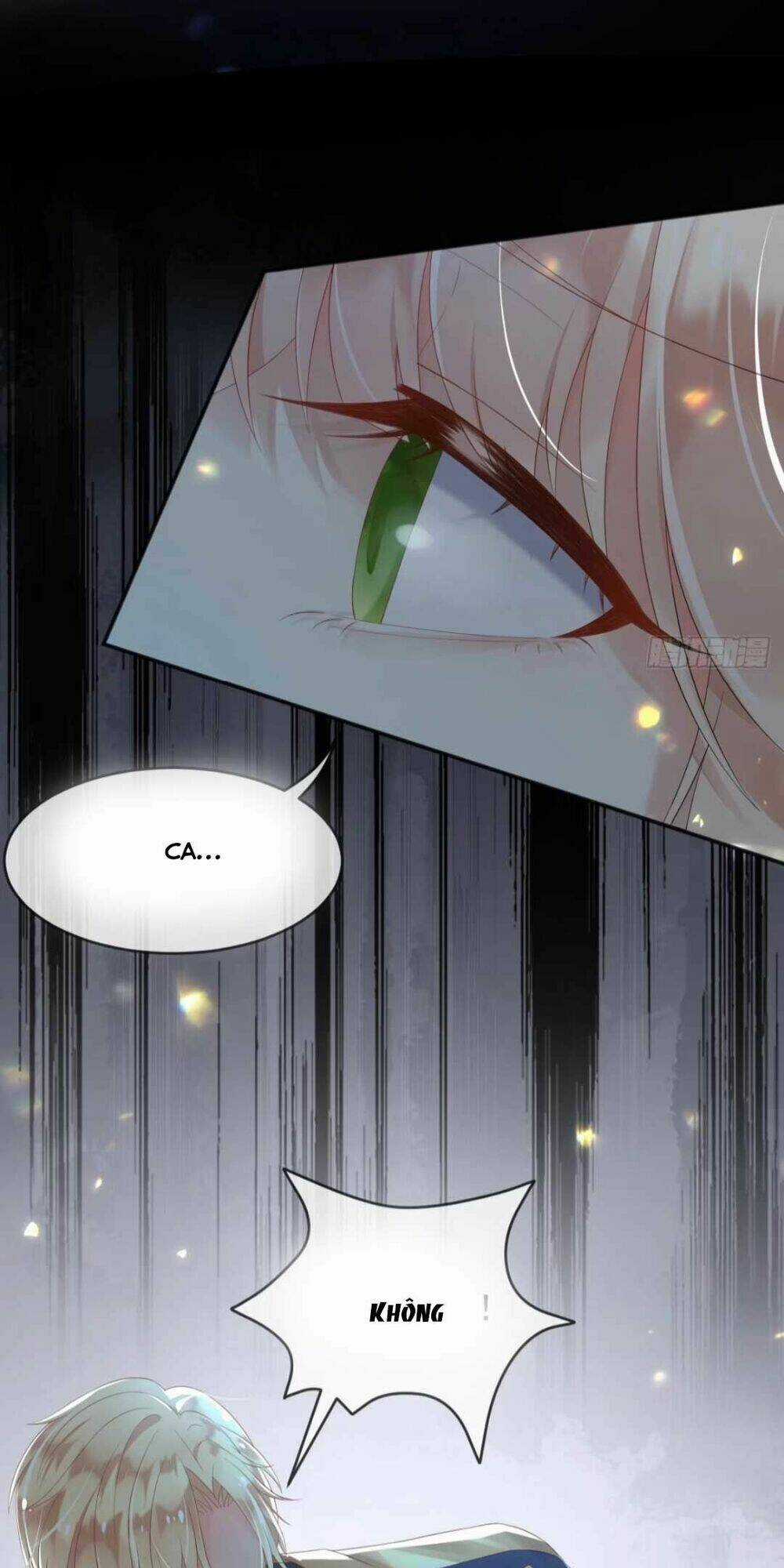 Ba Ba Đại Nhân ! Con Không Phải Là Nữ Phụ Ác Độc ! Chapter 4 trang 29