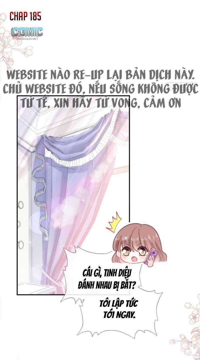 Bá Đạo Tổng Tài Nhẹ Nhàng Yêu Chapter 185 trang 1