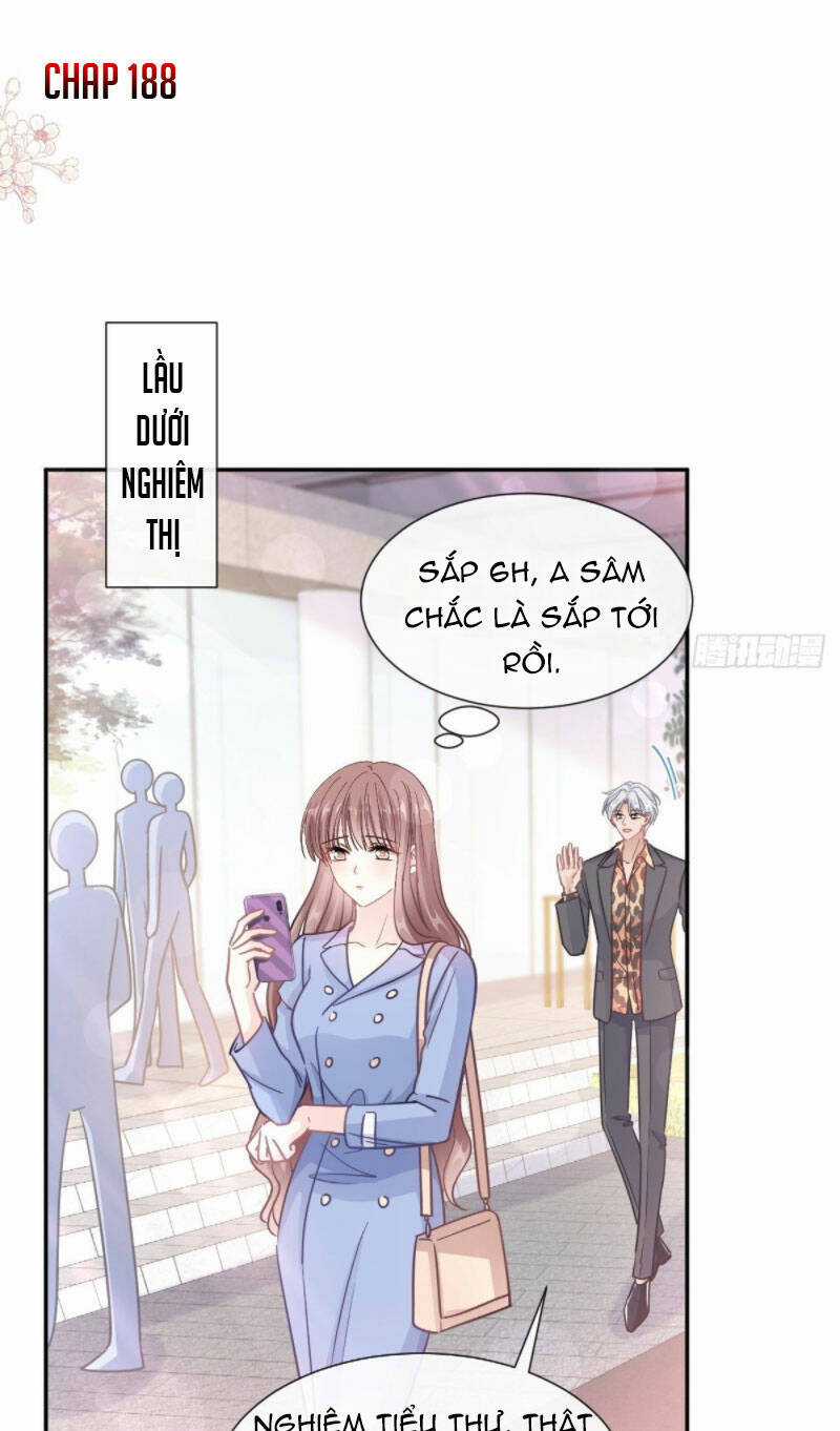 Bá Đạo Tổng Tài Nhẹ Nhàng Yêu Chapter 188 trang 1