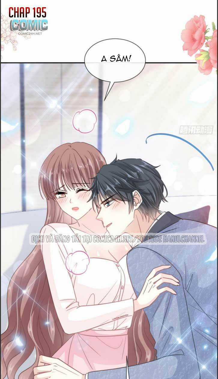 Bá Đạo Tổng Tài Nhẹ Nhàng Yêu Chapter 195 trang 1