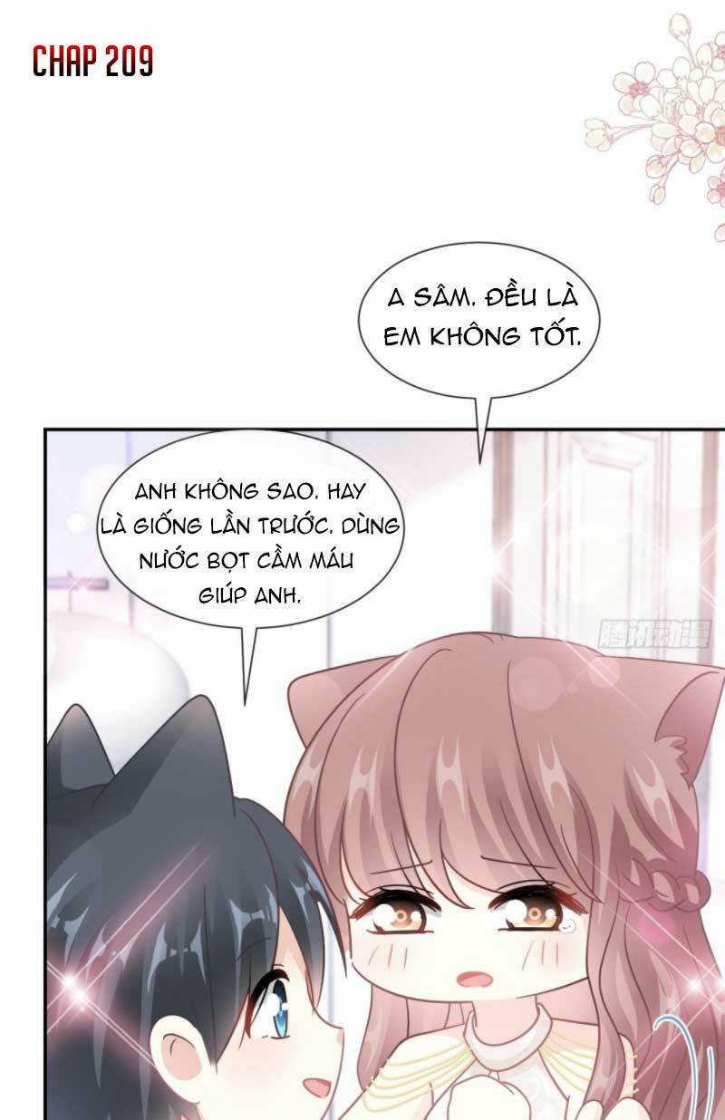 Bá Đạo Tổng Tài Nhẹ Nhàng Yêu Chapter 209 trang 1