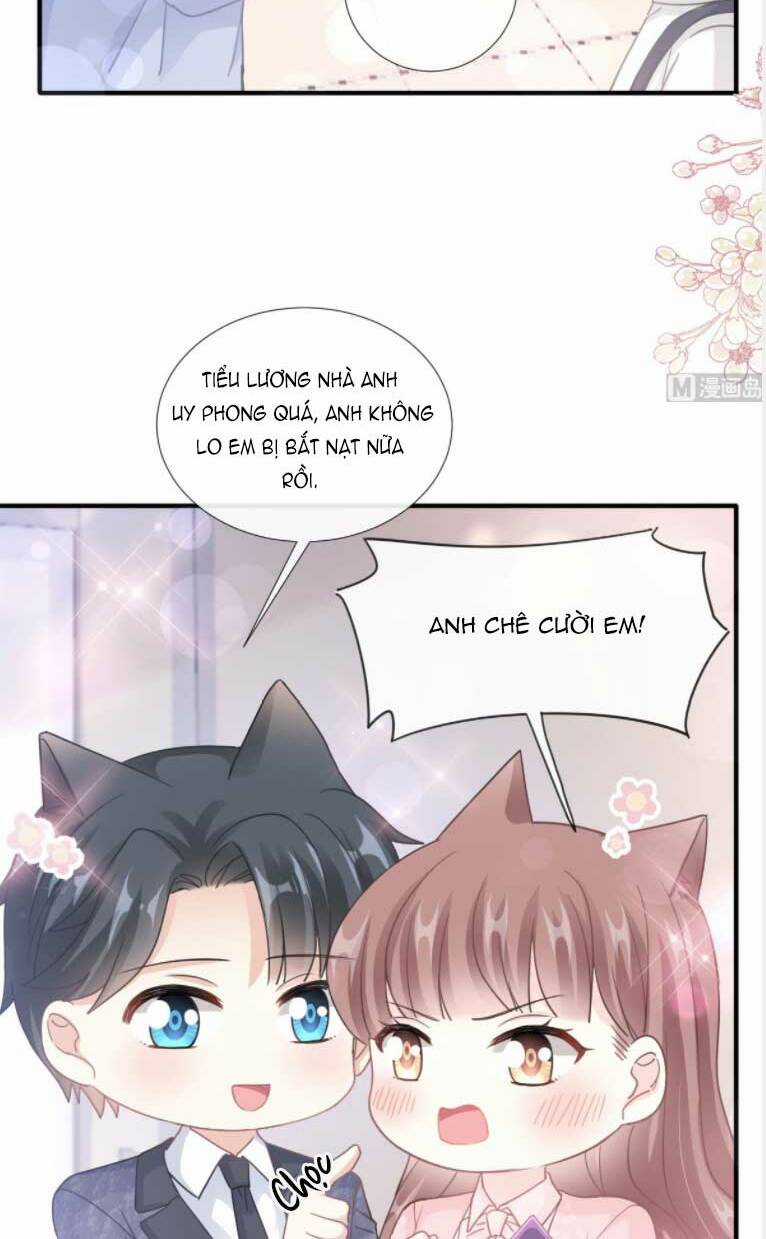 Bá Đạo Tổng Tài Nhẹ Nhàng Yêu Chapter 227 trang 4