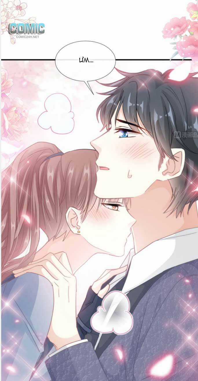 Bá Đạo Tổng Tài Nhẹ Nhàng Yêu Chapter 229 trang 0