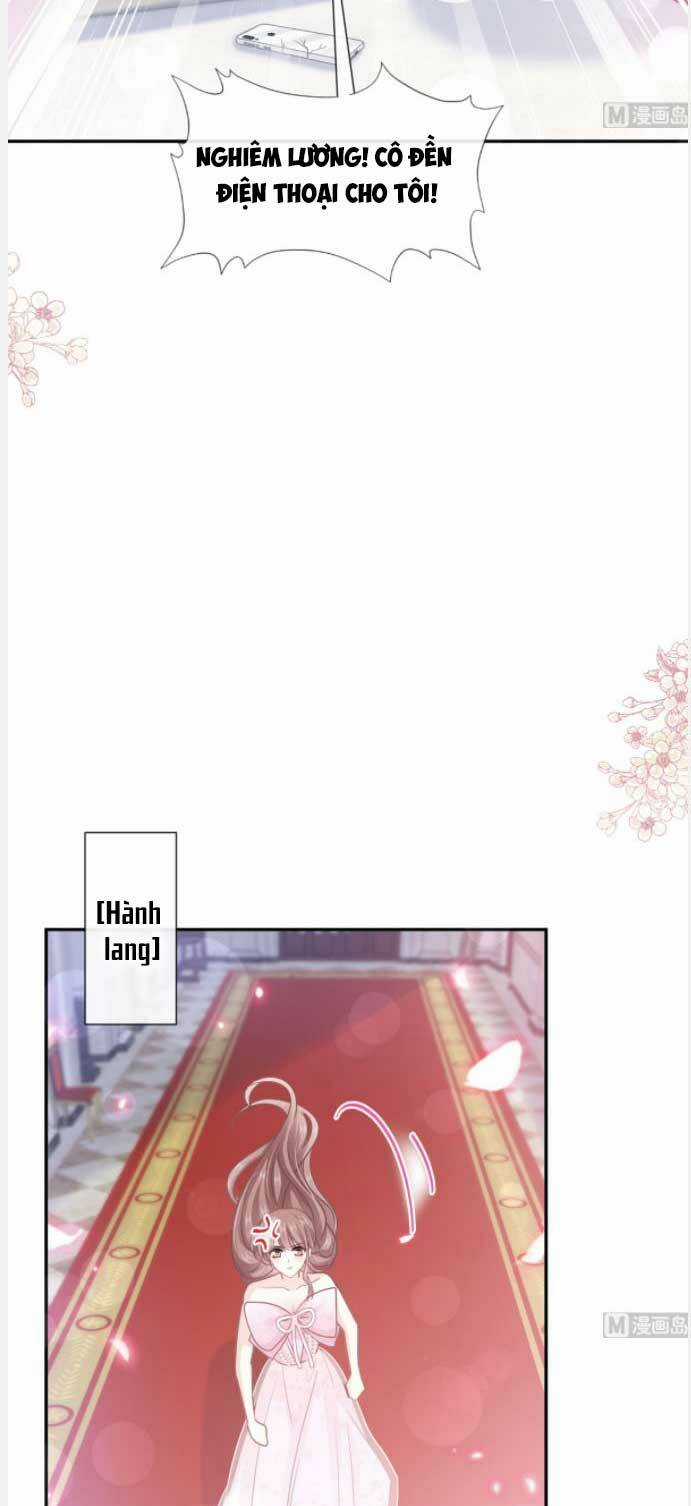 Bá Đạo Tổng Tài Nhẹ Nhàng Yêu Chapter 232 trang 17