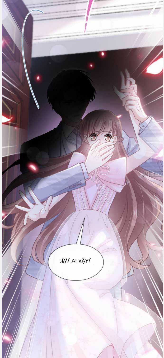 Bá Đạo Tổng Tài Nhẹ Nhàng Yêu Chapter 232 trang 19