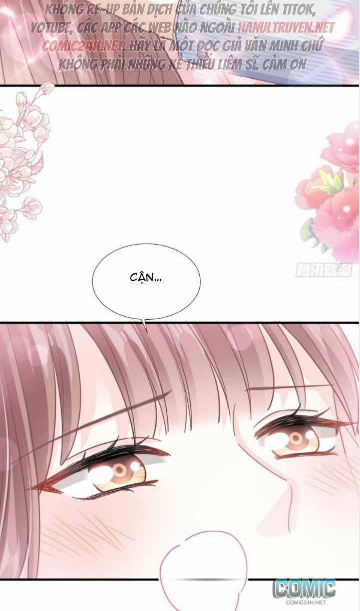 Bá Đạo Tổng Tài Nhẹ Nhàng Yêu Chapter 233 trang 33