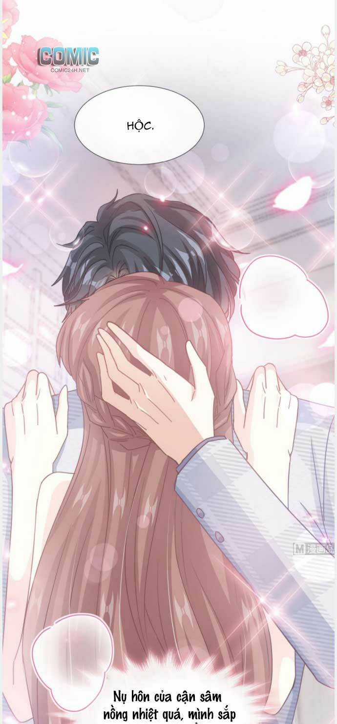 Bá Đạo Tổng Tài Nhẹ Nhàng Yêu Chapter 234 trang 1