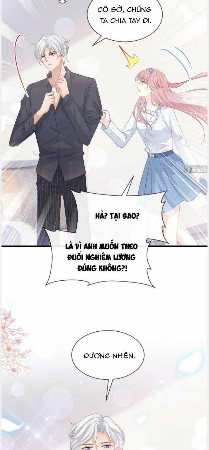 Bá Đạo Tổng Tài Nhẹ Nhàng Yêu Chapter 234 trang 12