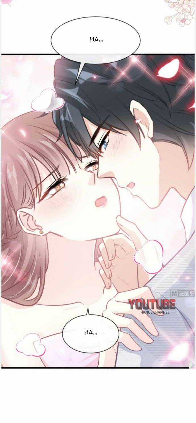 Bá Đạo Tổng Tài Nhẹ Nhàng Yêu Chapter 234 trang 6