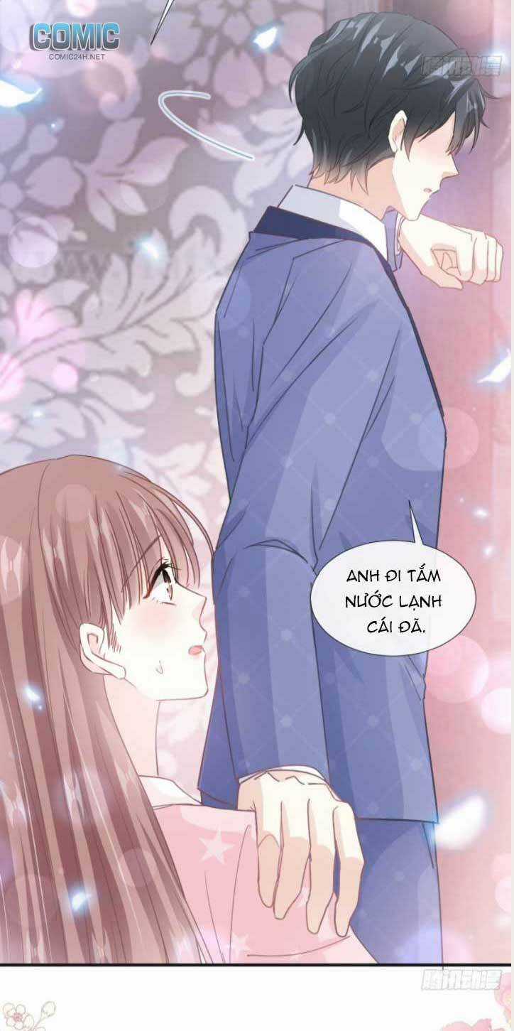 Bá Đạo Tổng Tài Nhẹ Nhàng Yêu Chapter 235 trang 14