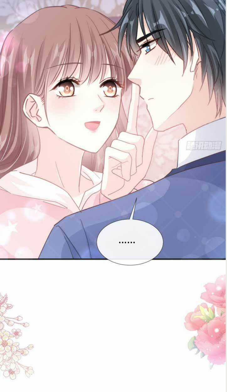 Bá Đạo Tổng Tài Nhẹ Nhàng Yêu Chapter 235 trang 5