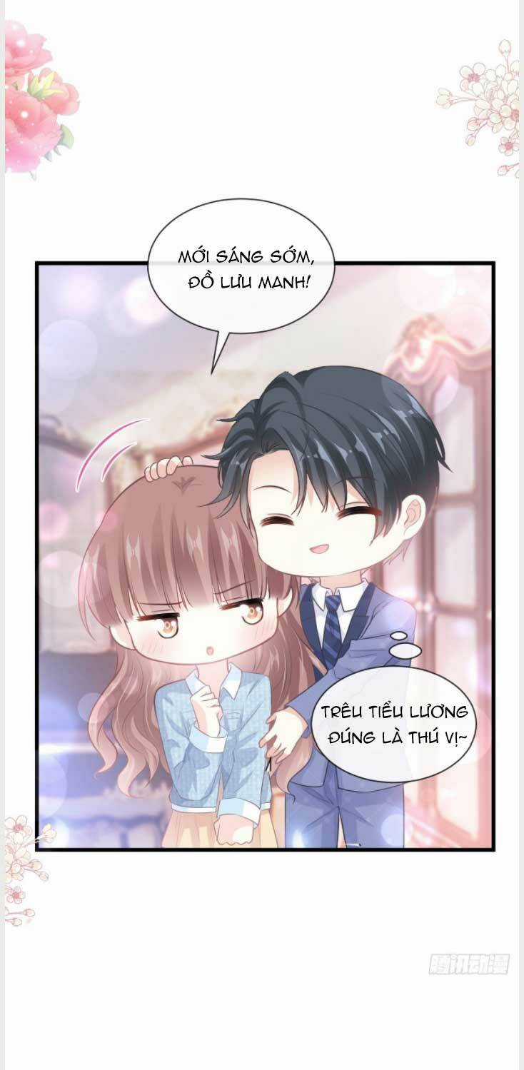 Bá Đạo Tổng Tài Nhẹ Nhàng Yêu Chapter 236 trang 16