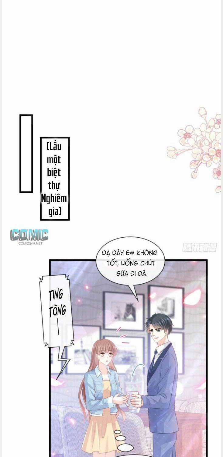 Bá Đạo Tổng Tài Nhẹ Nhàng Yêu Chapter 236 trang 17