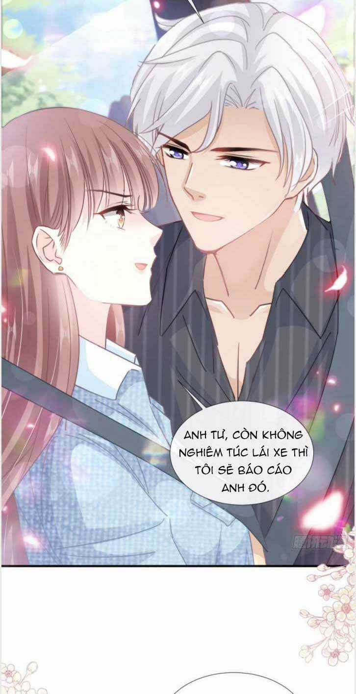 Bá Đạo Tổng Tài Nhẹ Nhàng Yêu Chapter 237 trang 31