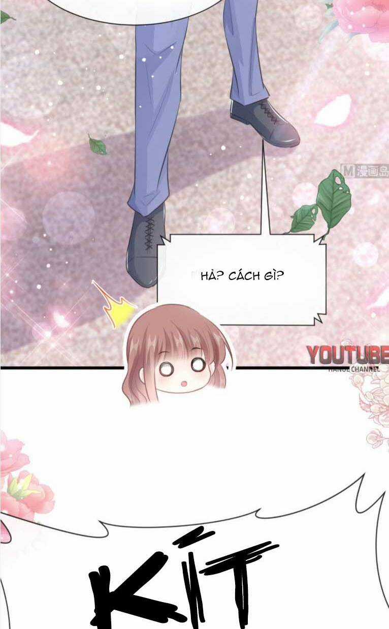 Bá Đạo Tổng Tài Nhẹ Nhàng Yêu Chapter 238 trang 11