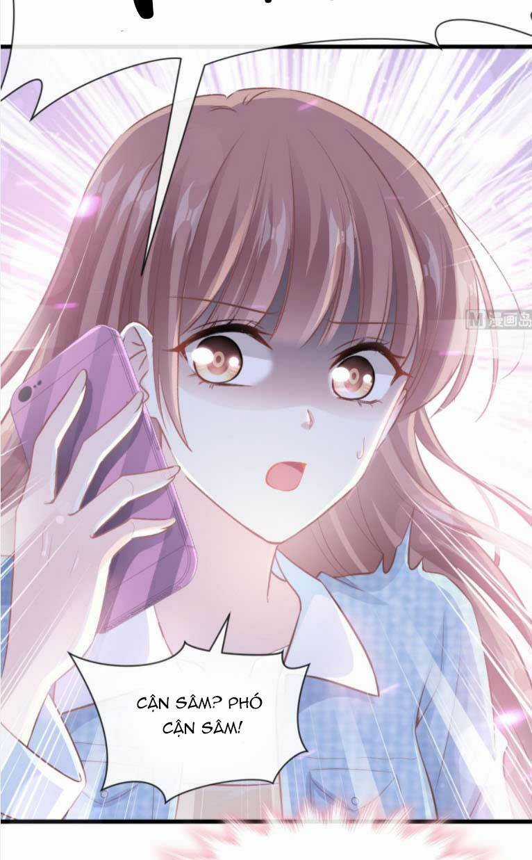 Bá Đạo Tổng Tài Nhẹ Nhàng Yêu Chapter 238 trang 12