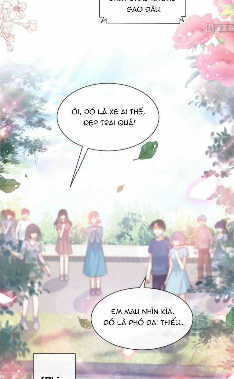 Bá Đạo Tổng Tài Nhẹ Nhàng Yêu Chapter 238 trang 9