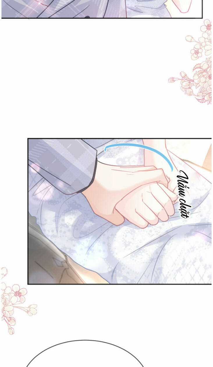 Bá Đạo Tổng Tài Nhẹ Nhàng Yêu Chapter 337 trang 16