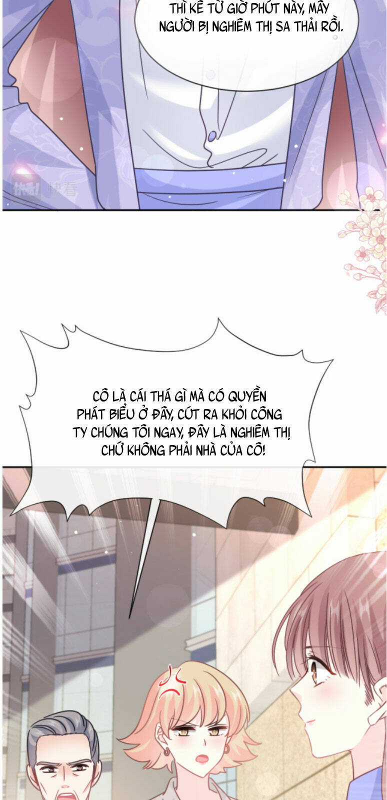 Bá Đạo Tổng Tài Nhẹ Nhàng Yêu Chapter 341 trang 24