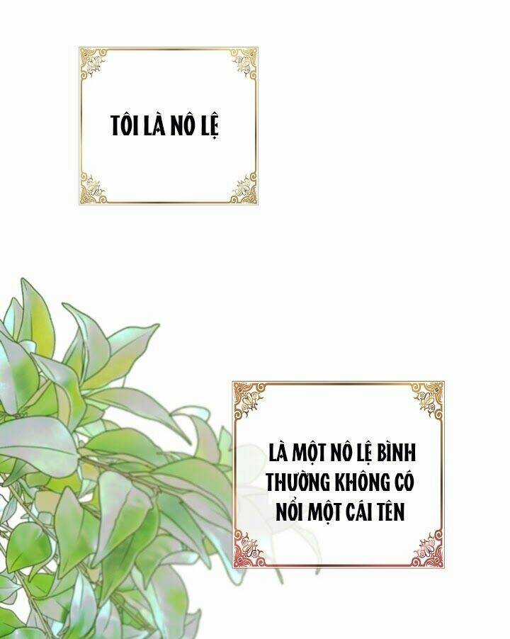 Ba Người Anh Trai Của Tôi Là Bạo Quân Chapter 1 trang 1