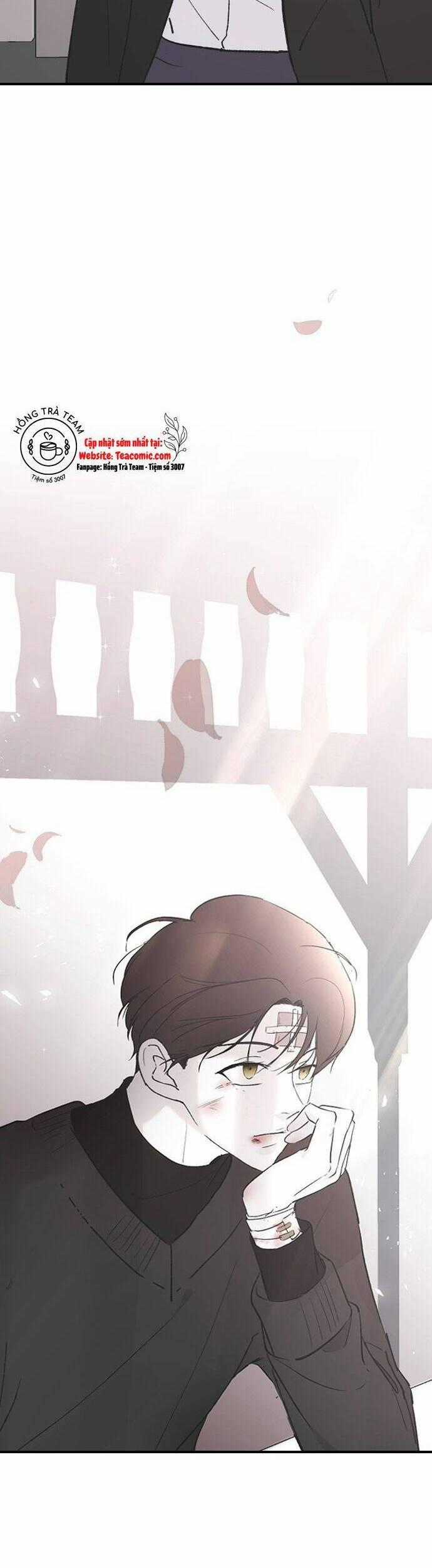 Ba Người Anh Trai Chapter 51 trang 1