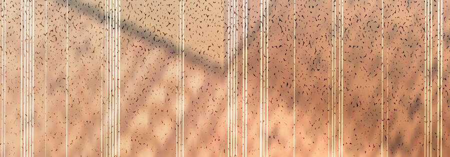 Ba Tôi Là Chiến Thần Chapter 9 trang 186