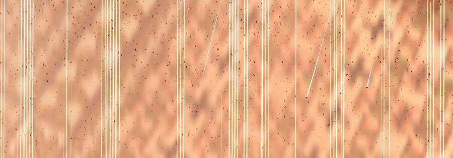 Ba Tôi Là Chiến Thần Chapter 9 trang 187