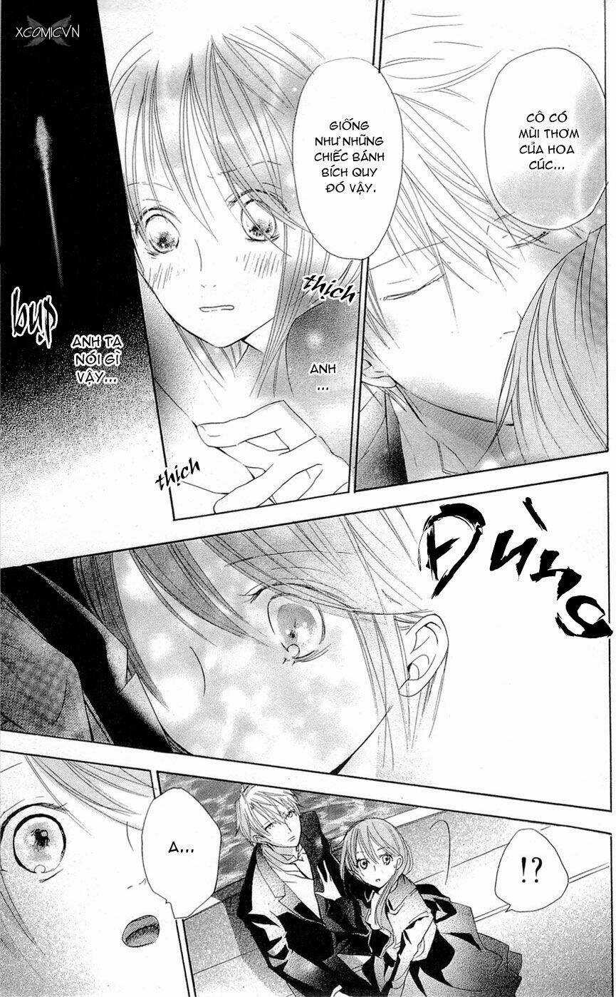 Bá Tước Và Tiên Nữ Chapter 11 trang 14