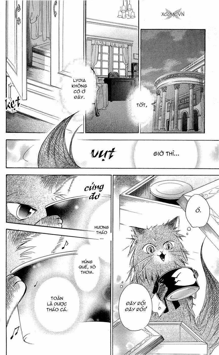 Bá Tước Và Tiên Nữ Chapter 12 trang 19