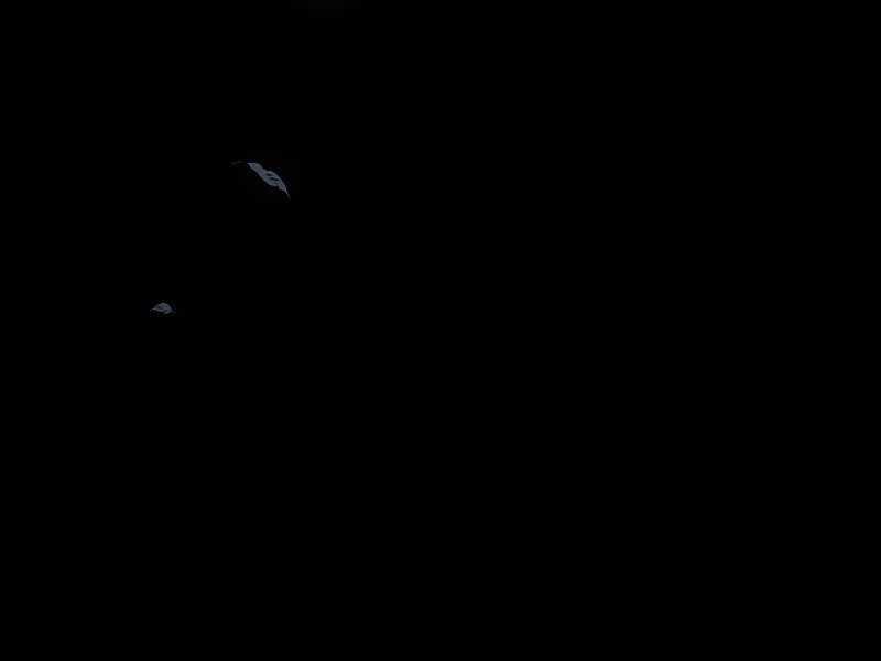 Bá Vương Chi Tinh Chapter 2.5 trang 61