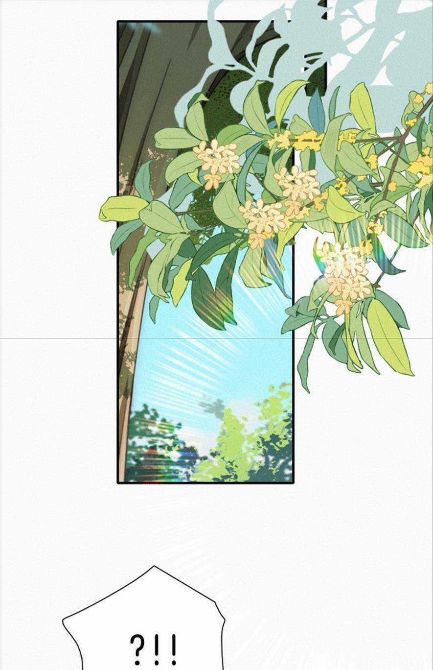 Bá Vương Sủng Ái Cô Vợ Mù Chapter 46 trang 11