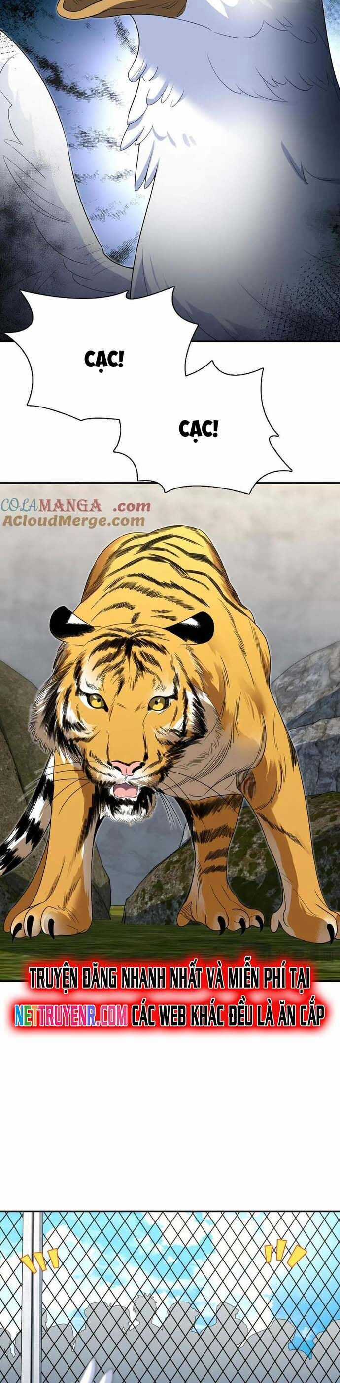 Bà Xã Nhà Tôi Đến Từ Ngàn Năm Trước Chương 373 trang 5